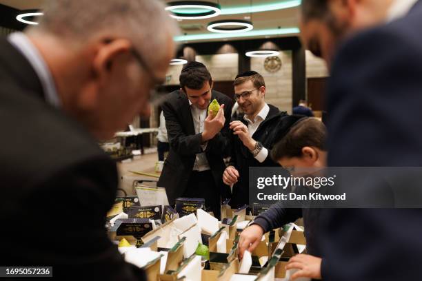 Members of the Jewish community inspect Esrogim, which make up one of the 'Four Species', or Arba Minim in Hebrew on September 21, 2023 in London,...