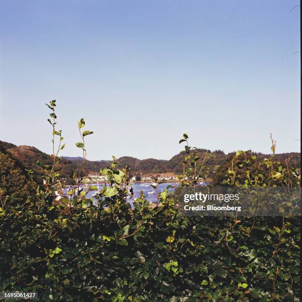 Tayvallich harbour in Argyll and Bute on the west coast of Scotland, UK, on Tuesday, Sept. 5, 2023. On a remote peninsular of Scotland, Highlands...