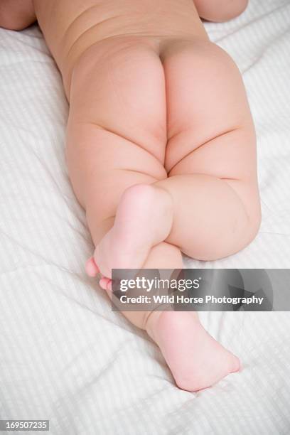 new born baby behind - allongé sur le devant photos et images de collection
