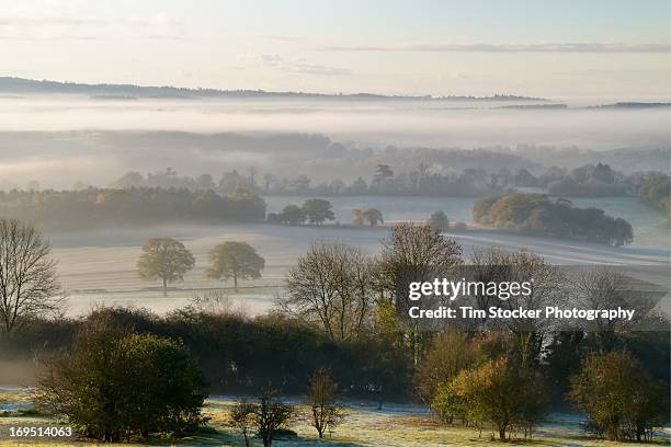 misty sunrise from newlands corner in surrey - north downs stock pictures, royalty-free photos & images