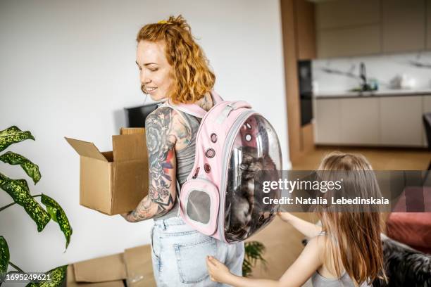 moving mother and daughter with boxes and cat in transparent backpack - home insurance stock pictures, royalty-free photos & images