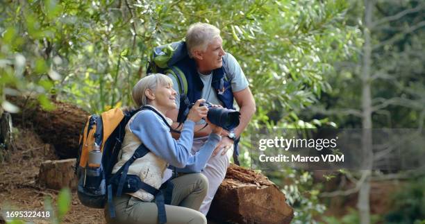 nature, travel and a senior couple with a camera for photography while camping. relax, hiking and a mature man, woman and photographer for pictures on a trekking journey, adventure or vacation - bird watching stock pictures, royalty-free photos & images