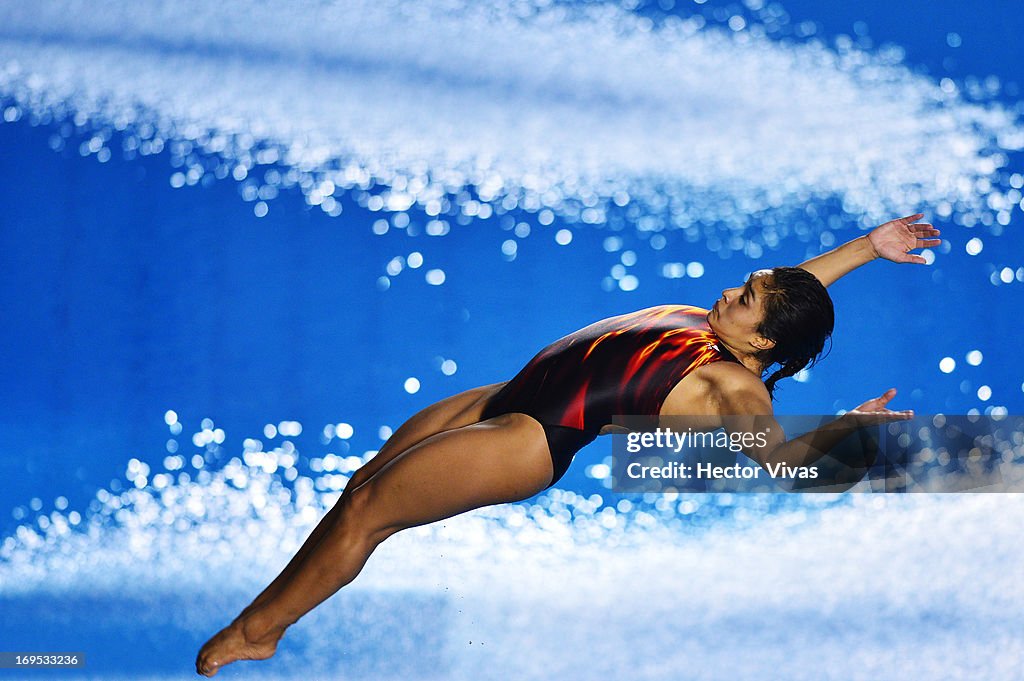 FINA/Midea Diving World Series 2013 - Day 3