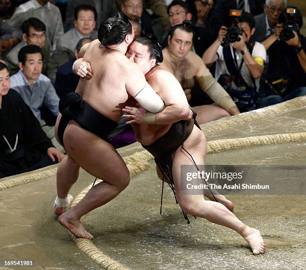 Mongolian Yokozuna, sumo's grand champion Hakuho , whose real name is Mnkhbatyn Davaajargal pushes his fellow yokozuna Harumafuji , whose real name...