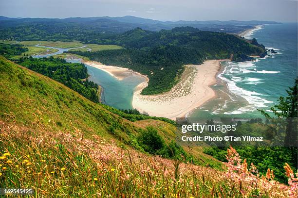 cascade head view - lincoln city oregon stock pictures, royalty-free photos & images
