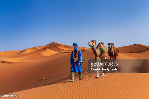 jeune culture touareg avec des chameaux sur sahara occidental en afrique - north africa photos et images de collection