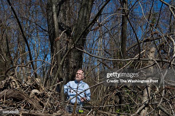 Doug Inkley Tree Of Heaven Photos and Premium High Res Pictures - Getty Images