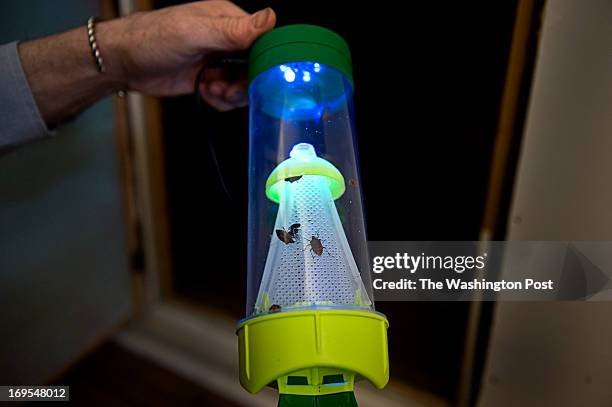 Doug Inkley Stink Bugs In House Photos and Premium High Res Pictures - Getty Images
