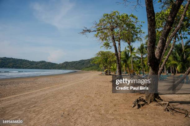 view of the tambor beach with palm trees, nicoya peninsula, montezuma, costa rica - península de nicoya fotografías e imágenes de stock