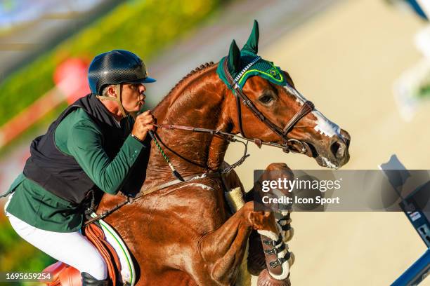 Pessoa Ridden 51 Pessoa Real Stock Photos, High-Res Pictures, and Images - Getty Images