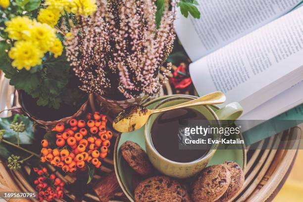flower arrangement - heather stockfoto's en -beelden
