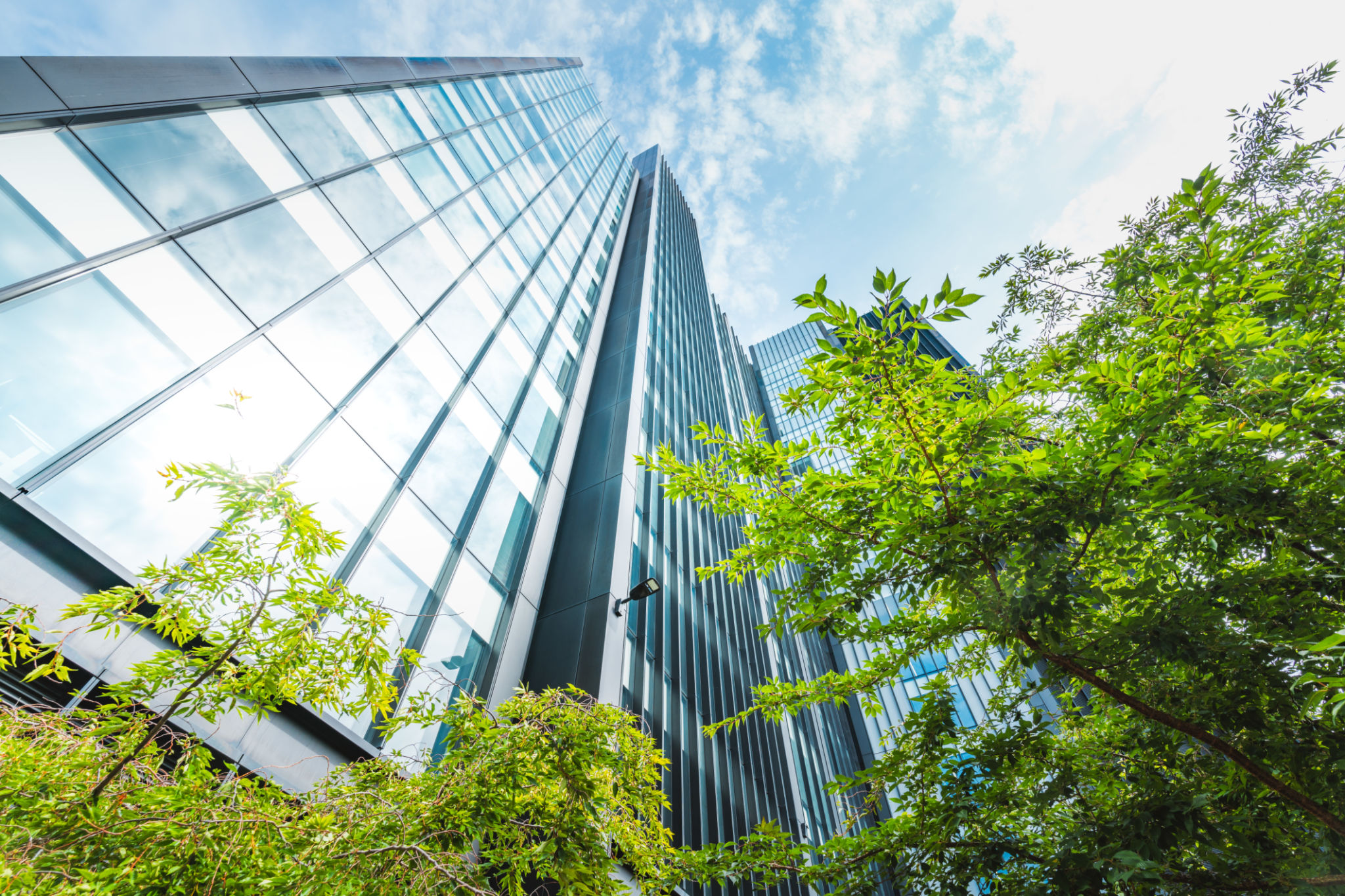 sustainable business