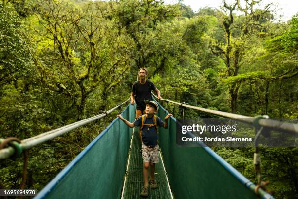 a father and son hiking across a suspension bridge in costa rica. - explorador imagens e fotografias de stock