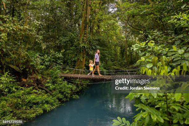 a woman hiking with her daughter across a bridge in costa rica. - lagoon forest stock pictures, royalty-free photos & images