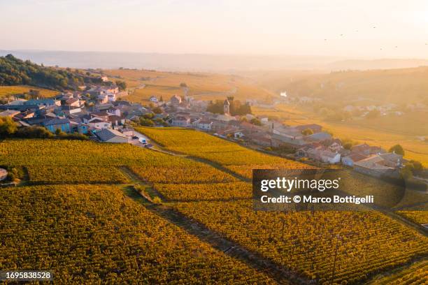 cote d'or vineyards, burgundy, france - côte de beaune foto e immagini stock