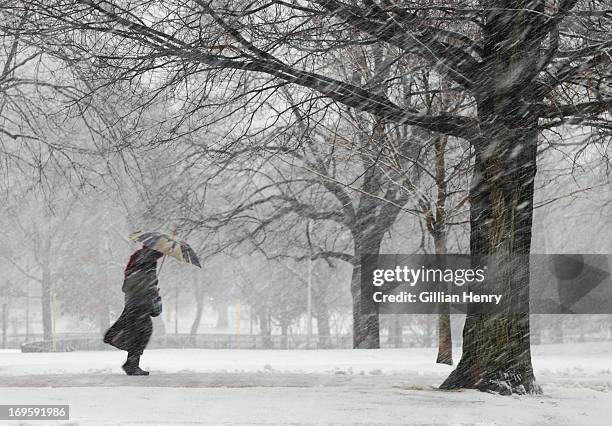 snowstorm on boston common - blizzard photos et images de collection