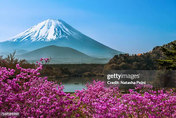 Lake Shojiko Springtime, Stock-Foto