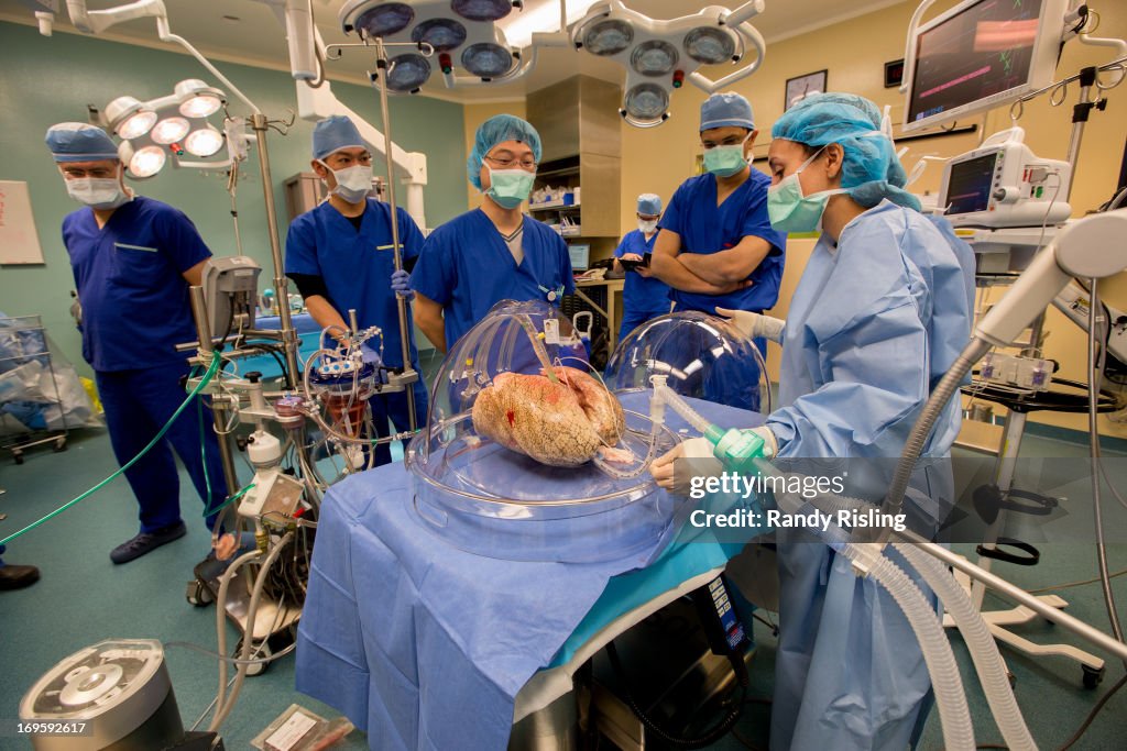 Double-lung Transplant Surgery