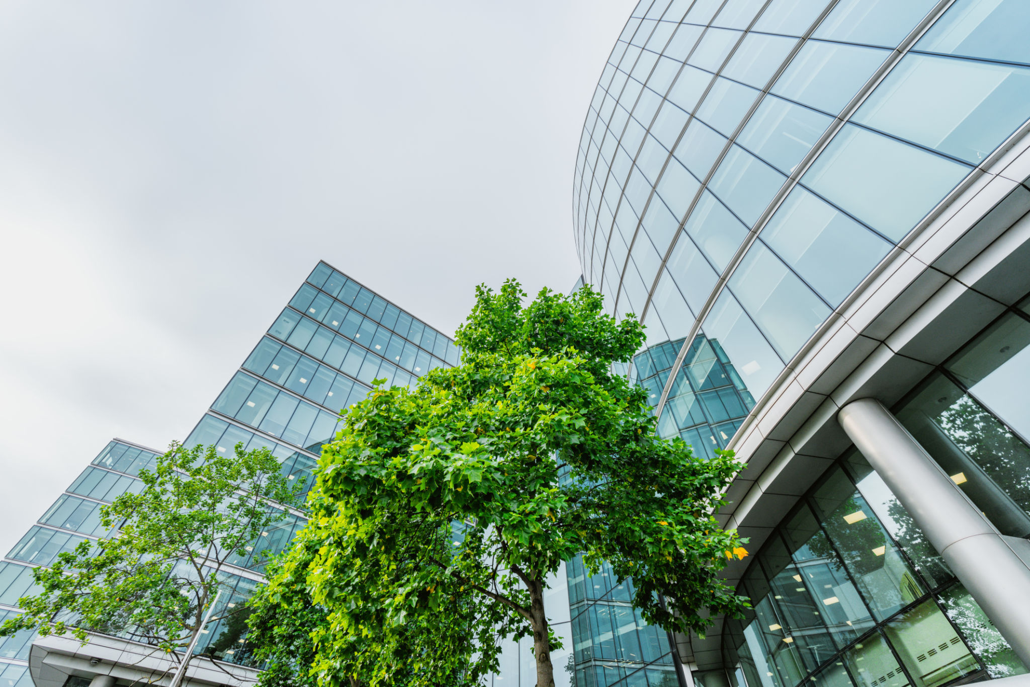 sustainable building