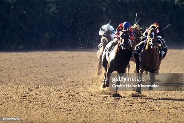 Belmont Stakes: Jockey Steve Cauthen riding Affirmed in action vs Jorge Velasquez riding Alydar at Belmont Park. Triple Crown winner. Elmont, NY...