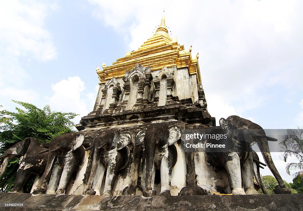 Closer view of the Sinhalese-style elephants