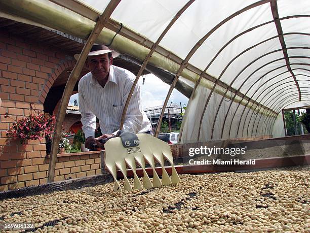 Luis Alirio Rios spreads coffee for drying at his farm, El Descanso, near Manizales, Colombia. Production at the farm had drop almost 40 percent...