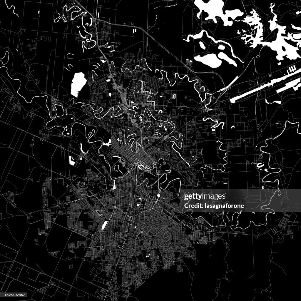 Brownsville, Texas, USA Vector Map