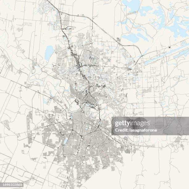 brownsville, texas, usa vector map - brownsville texas stock illustrations