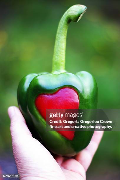 healthy eating - gregoria gregoriou crowe fine art and creative photography. imagens e fotografias de stock