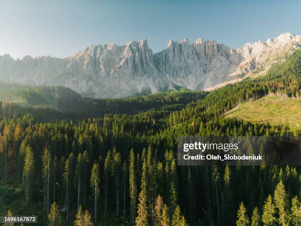 vue aérienne de la forêt au coucher du soleil sur fond de montagnes dans les dolomites - état fédéré du tyrol photos et images de collection