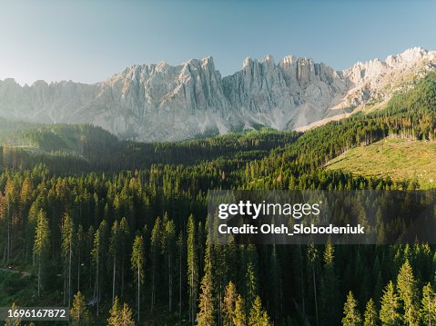 Aerial view of forest at sunset on the background of mountains in Dolomites Aerial view of forest at sunset on the background of mountains in Dolomites