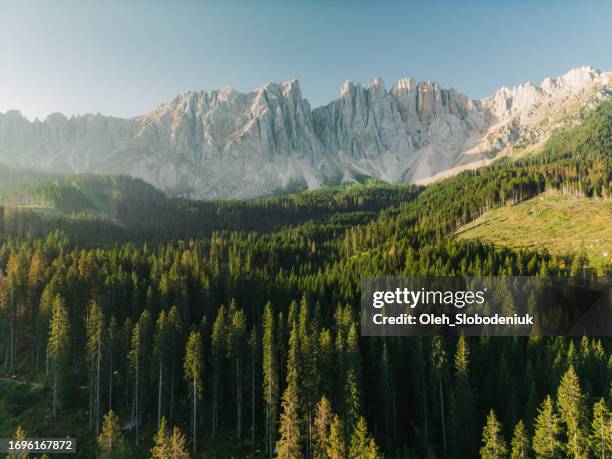 aerial view of  forest at sunset on the background of mountains in dolomites - austria mountains stock pictures, royalty-free photos & images