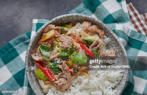 stir-fried pork with bunching onion - scallion brush stock pictures, royalty-free photos & images