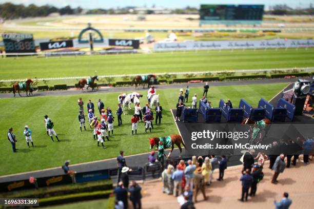 Tab Racing Australia 3,754 Prepare To Race Horse Stock Photos, High-Res Pictures, and Images ...