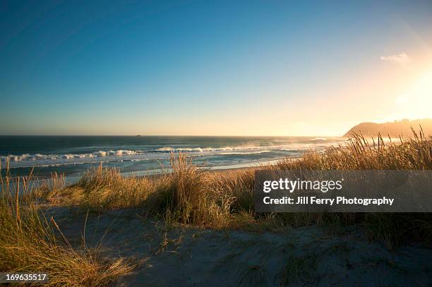 beach view - new zealand beach stock pictures, royalty-free photos & images