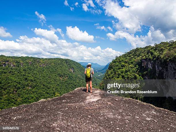 kaieteur falls - guyana stock pictures, royalty-free photos & images