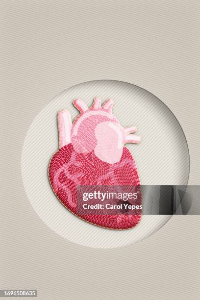 anatomic heart in red paper work - prevenção-de-doenças - fotografias e filmes do acervo