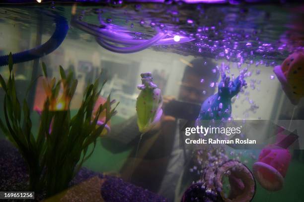 Male delegate photographs fishes made out of colourful condoms, which is part of the installation set up by The Malaysian Rubber Export Promotion...