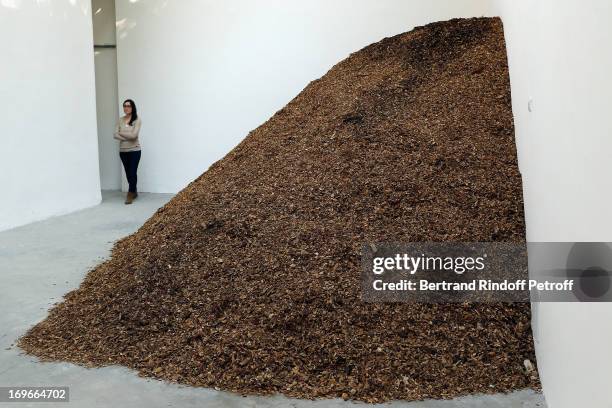 Spanish Pavilion, Lara Almarcegui at the 55. Art Biennale, on May 29, 2013 in Venice, Italy.