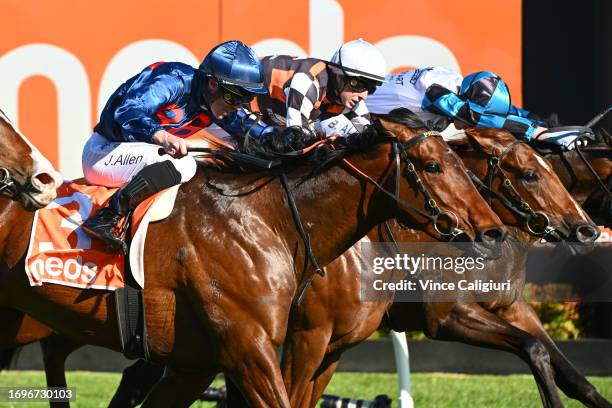 John Allen riding Steparty defeats Harry Coffey riding Southport Tycoon and Ben Allen riding Scentify in Race 7, the Neds Caulfield Guineas Prelude...