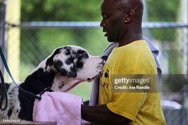 Vladimir Delva, a veterinarian technician, washes Duke a dog rescued from the ruins after a deadly tornado struck near Oklahoma City, Oklahoma at the...