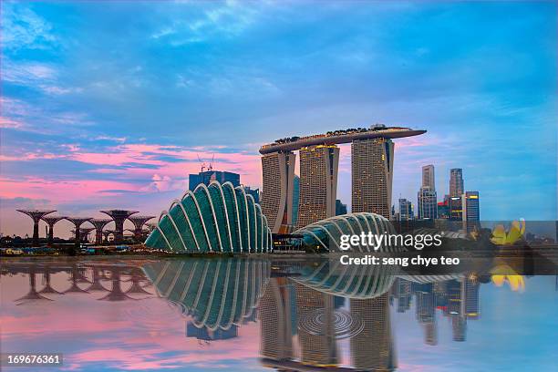 gardens by the bay - marina bay - singapore stock pictures, royalty-free photos & images