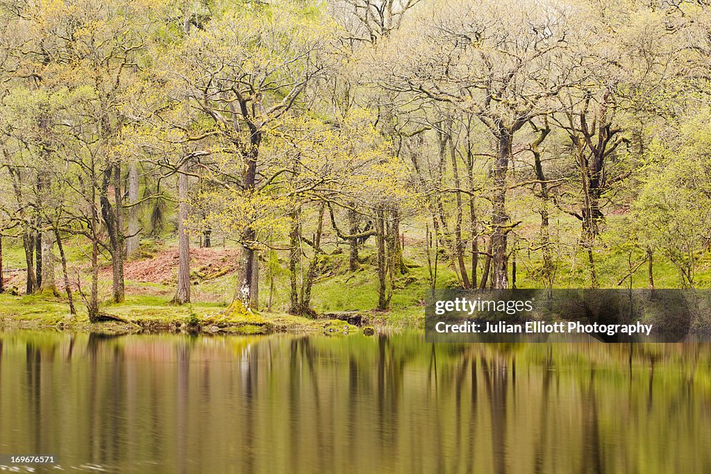 Yew Tree Tarn in the Lake District National Park.