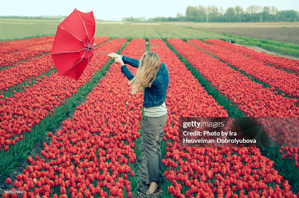 Young woman with broken umbrella in tulip fields