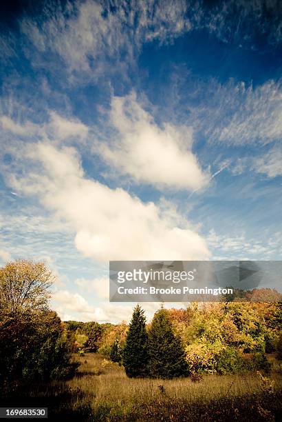 autumn landscape - ada township michigan stock pictures, royalty-free photos & images