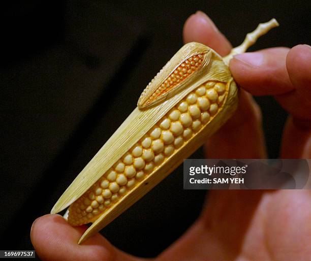 An ivory corn shaped snuff bottle is on display during an exhibition in Taipei on August 28, 2008. The snuff bottle was used to contain powdered...