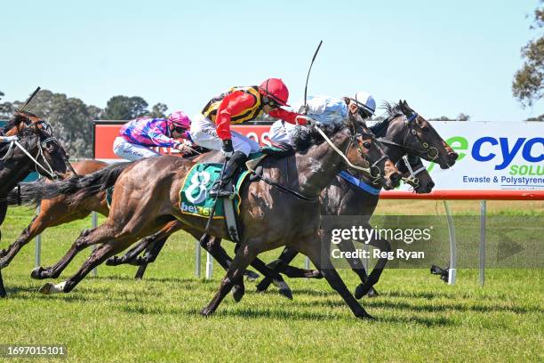 Lynes ridden by Kate Walters wins the Hamilton Flooring Xtra Maiden Plate at Coleraine Racecourse on September 29, 2023 in Coleraine, Australia.