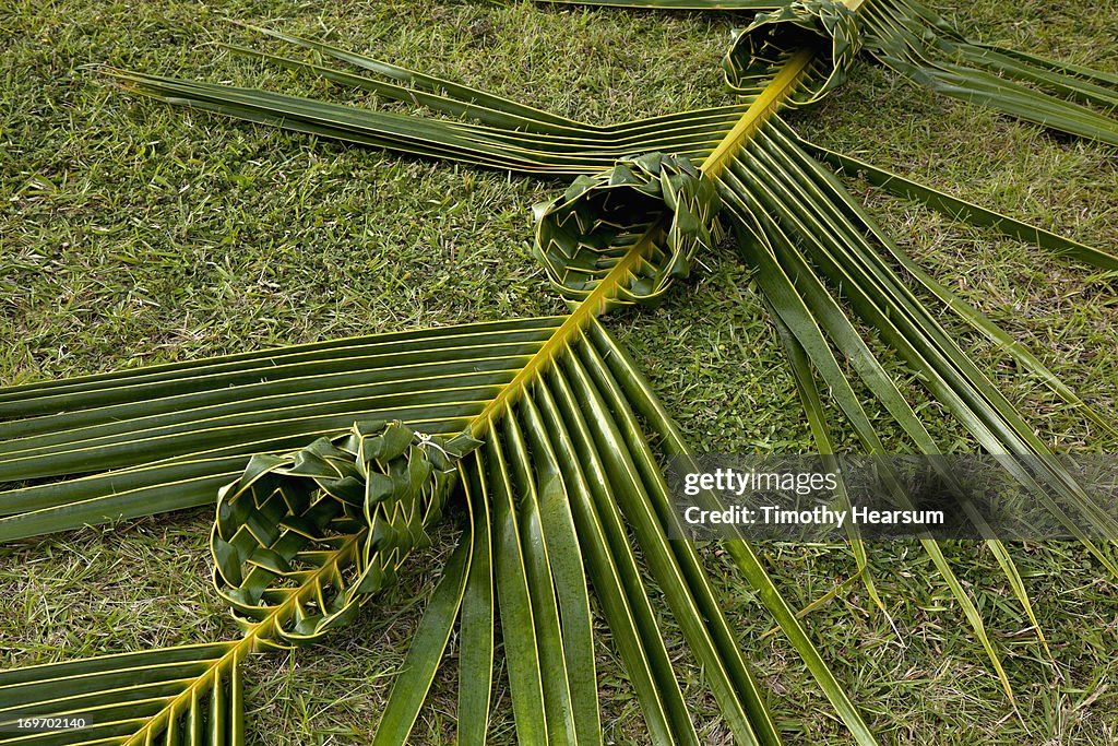 Baskets woven into one coconut palm frond