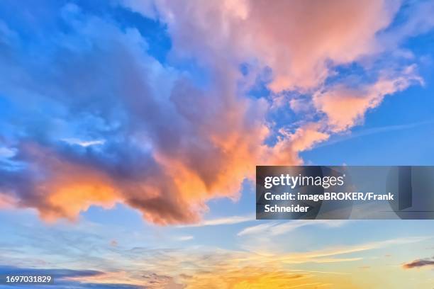 Altocumulus clouds are illuminated by the setting sun with warm coloured light, Germany
