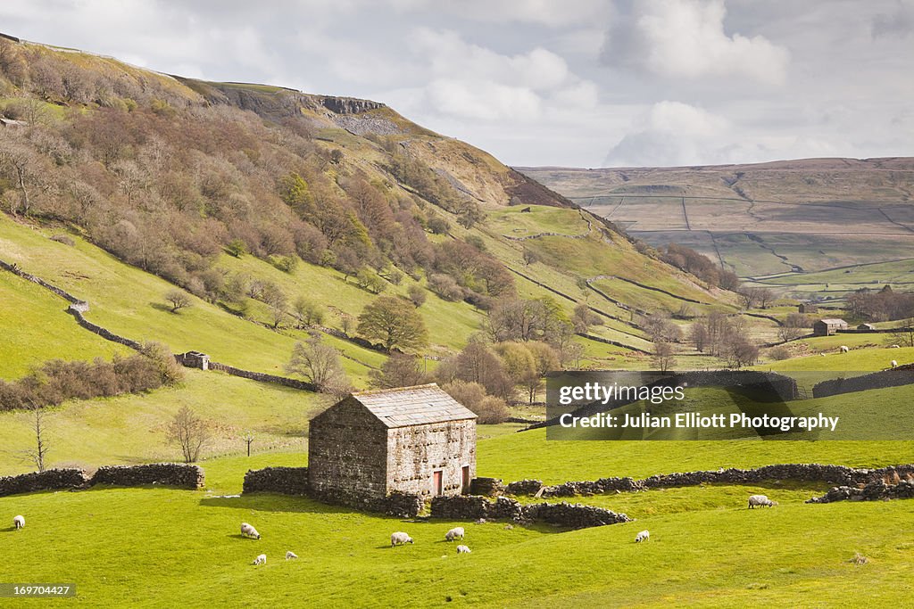 Stone barn in the Swaledale area of the Dales.